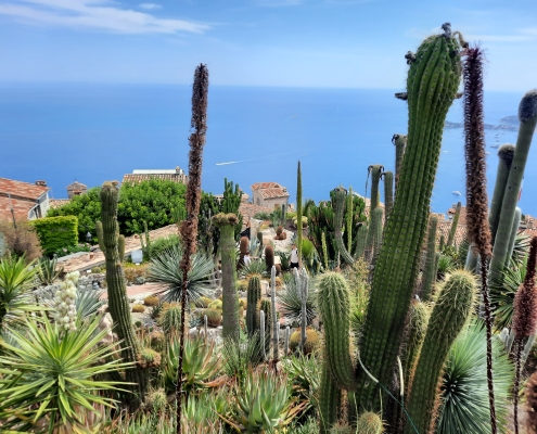 eze sur mer eze sur mer