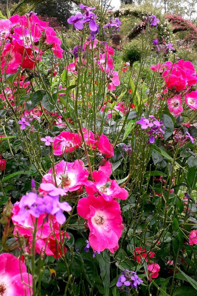 giverny giverny