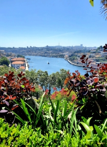 fleuve du douro